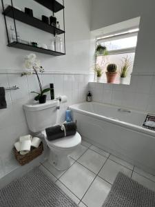 uma casa de banho com um WC, uma banheira e um lavatório. em Lovely apartment in Cork em Cork