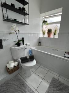 Fotografie z fotogalerie ubytování Lovely apartment in Cork v destinaci Cork
