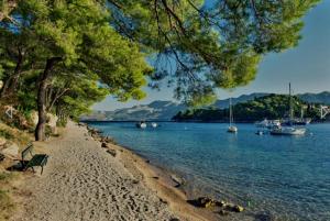 Gallery image of Apartment Madison in Cavtat