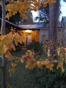 a house with a tree in the yard at RAIZ DEL CIELO, entre 2 jardines de ensueño in Cordoba