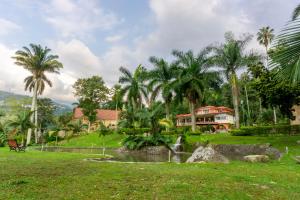 a house in a park with a pond and palm trees at Finca San José Hotel Boutique in San Antonio del Tequendama