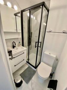 a bathroom with a shower and a toilet and a sink at Superbe Studio Balcon Emplacement nº1: Place Morny in Deauville