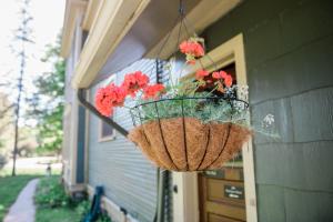 Una cesta de flores colgantes con flores rojas. en The Flat a Wanderlust Abodes property en Central Lake