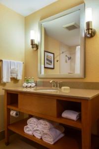 a bathroom with a sink and a mirror at Holiday Inn Express Fort Lauderdale Airport South, an IHG Hotel in Dania Beach