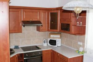 Kuchnia z drewnianymi szafkami, zlewem i kuchenką mikrofalową w obiekcie Ubytování v Mladých Bukách w Mladych Bukach