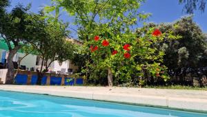 Basen w obiekcie House with exclusive pool and garden 7 min walk from the beach and the center lub w pobliżu