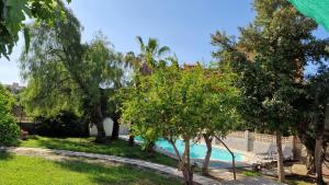 Basen w obiekcie House with exclusive pool and garden 7 min walk from the beach and the center lub w pobliżu