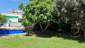Ogród w obiekcie House with exclusive pool and garden 7 min walk from the beach and the center