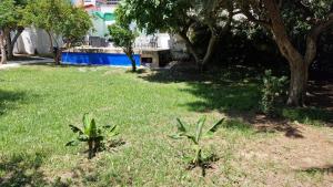 Ogród w obiekcie House with exclusive pool and garden 7 min walk from the beach and the center