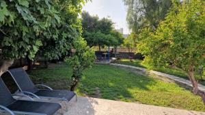 Ogród w obiekcie House with exclusive pool and garden 7 min walk from the beach and the center