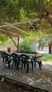 Ogród w obiekcie House with exclusive pool and garden 7 min walk from the beach and the center