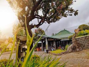 Ein Garten an der Unterkunft Bromo Permai 1