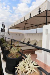 rząd doniczkowych roślin siedzących na dachu w obiekcie Ryad Laârouss w Marakeszu