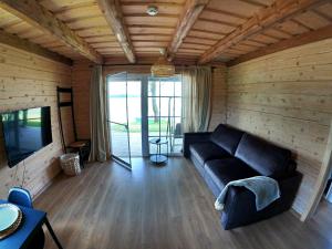 a living room with a black couch and a television at Chill House in Miežonys