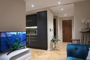 a living room with a large flat screen tv at City Centre Luxury studio apartment suite with garden view in York