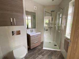 a bathroom with a shower and a toilet and a sink at The Bolthole in Margate +19 photos