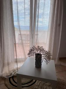 eine Vase auf einem Tisch vor einem Fenster in der Unterkunft Apartment Frina II, Island Hvar in Jelsa
