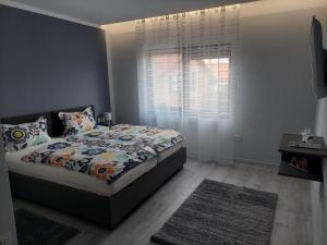 una camera con letto e finestra di Blue Central House, curte proprie a Oradea