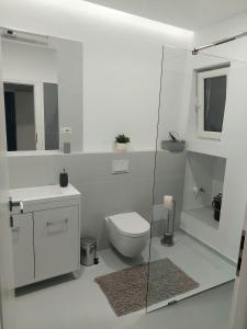 bagno bianco con servizi igienici e lavandino di Blue Central House, curte proprie a Oradea