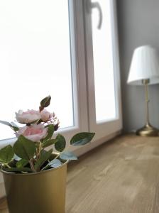 Foto dalla galleria di Manno Rooms Affittacamere a Cagliari