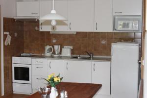Kuchyň nebo kuchyňský kout v ubytování Apartmány Vydrýsek