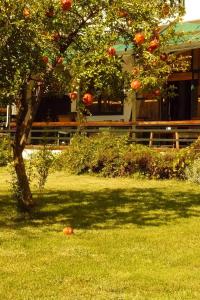 Vonkajšia záhrada v ubytovaní Trogirsunset Apartments