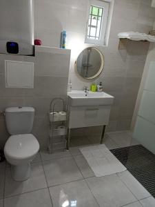 La salle de bains est pourvue de toilettes, d'un lavabo et d'un miroir. dans l'établissement WIFI - PARKING - SUPERBE T3 SPACIEUX ET MODERNE!!!!, à Saint-Denis