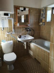 a bathroom with a toilet and a sink and a tub at Country house Horné Držkovce in Horné Držkovce