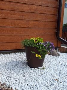 a pot of flowers sitting on a gravel patio at LIUX apartamentai in Kaunas