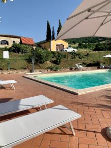 uma piscina com dois bancos brancos e um guarda-chuva em Podere le Mulina em Castiglione dʼOrcia