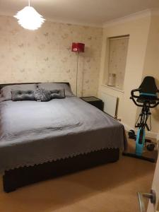 ein Schlafzimmer mit einem Bett, einer Lampe und einem Stativ in der Unterkunft Beautiful ensuite room in Wellingborough