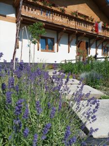 une maison avec des fleurs violettes devant elle dans l'établissement Base Camp Carpathia, à Wrocanka