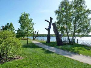 einen Weg neben einem See mit Bäumen und einer Bank in der Unterkunft Ferienwohnung "Am Seeufer" Objekt ID 12130 in Waren (Müritz)