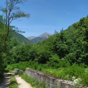 a dirt road through a forest with mountains in the background at Casargo_home in Casargo