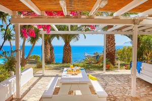 Příroda nedaleko vily