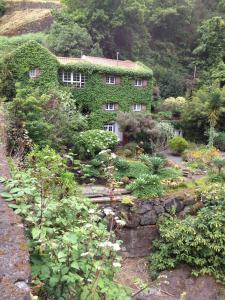 a house covered in green ivy in a garden at Moinho do Comandante in Faial