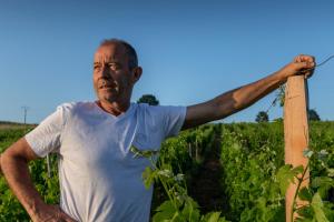 Hosté ubytování Suite campagnarde près Bordeaux, vue sur les vignes au Château Camponac