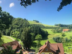 una casa en medio de un campo verde en Haus Sigmund, en Oberharmersbach