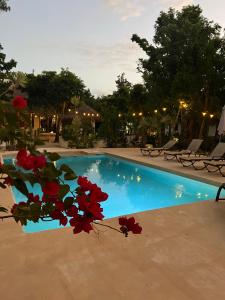 una piscina con flores rojas delante de ella en Maya Eco Village, en Akumal