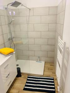 a bathroom with a shower and a black and white rug at Sur les quais... in Arles +7 photos