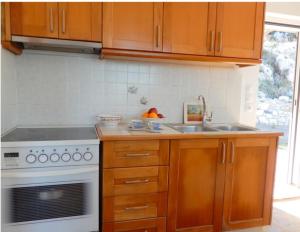 Kuchyň nebo kuchyňský kout v ubytování Athena s House