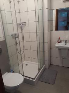 a bathroom with a shower and a toilet and a sink at Pokój 31 Domino Family Dominikana in Sianozety