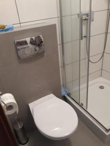 a small bathroom with a toilet and a shower at Pokój 31 Domino Family Dominikana in Sianozety