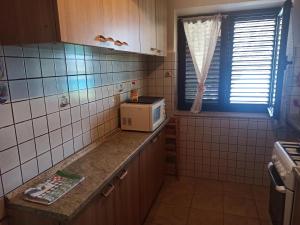 eine Küche mit einer Arbeitsplatte und einer Mikrowelle in der Unterkunft Apartment Dunka in Martinšćica