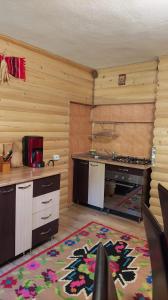 a kitchen with a large rug on the floor at Cabana Dochita in Ceahlău
