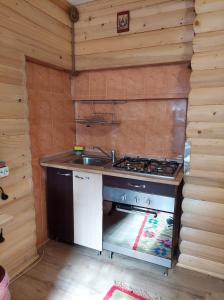 a kitchen with a stove and a sink at Cabana Dochita in Ceahlău +17 photos