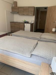 Fotografie z fotogalerie ubytování Apartmány Havlíčkova v destinaci Mladá Boleslav + 10 fotografií