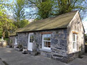una pequeña casa de piedra con un perro sentado fuera en Roberts Yard Country Cottage en Kilkenny
