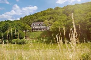 a large house on top of a hill at Landhotel Lembergblick in Feilbingert