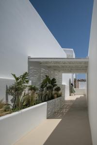 Fotografie z fotogalerie ubytování Arocaria Mykonos ve městě Mykonosu